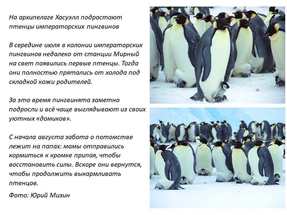 Слайд1.JPG